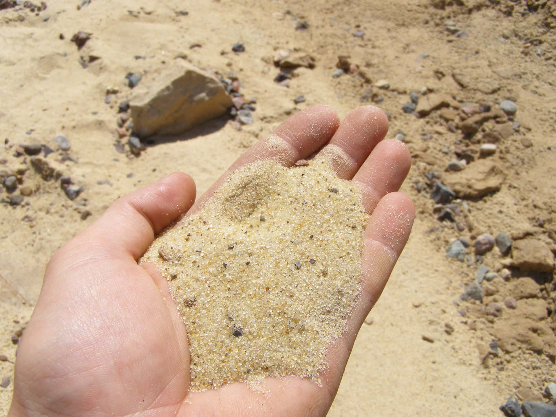 Grains Of Fine Sand Picture