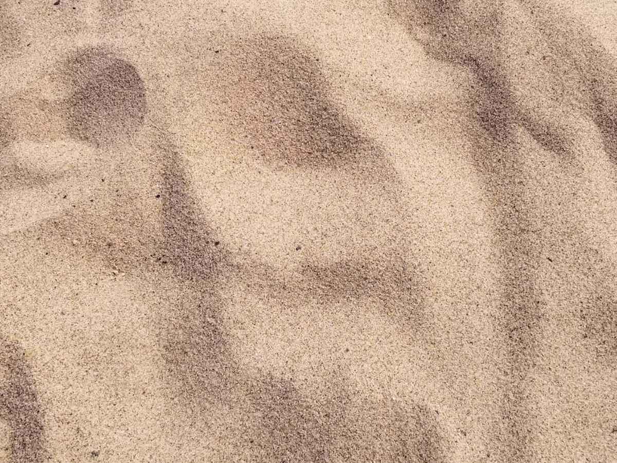 Gritty Sand Texture Billede Tapet