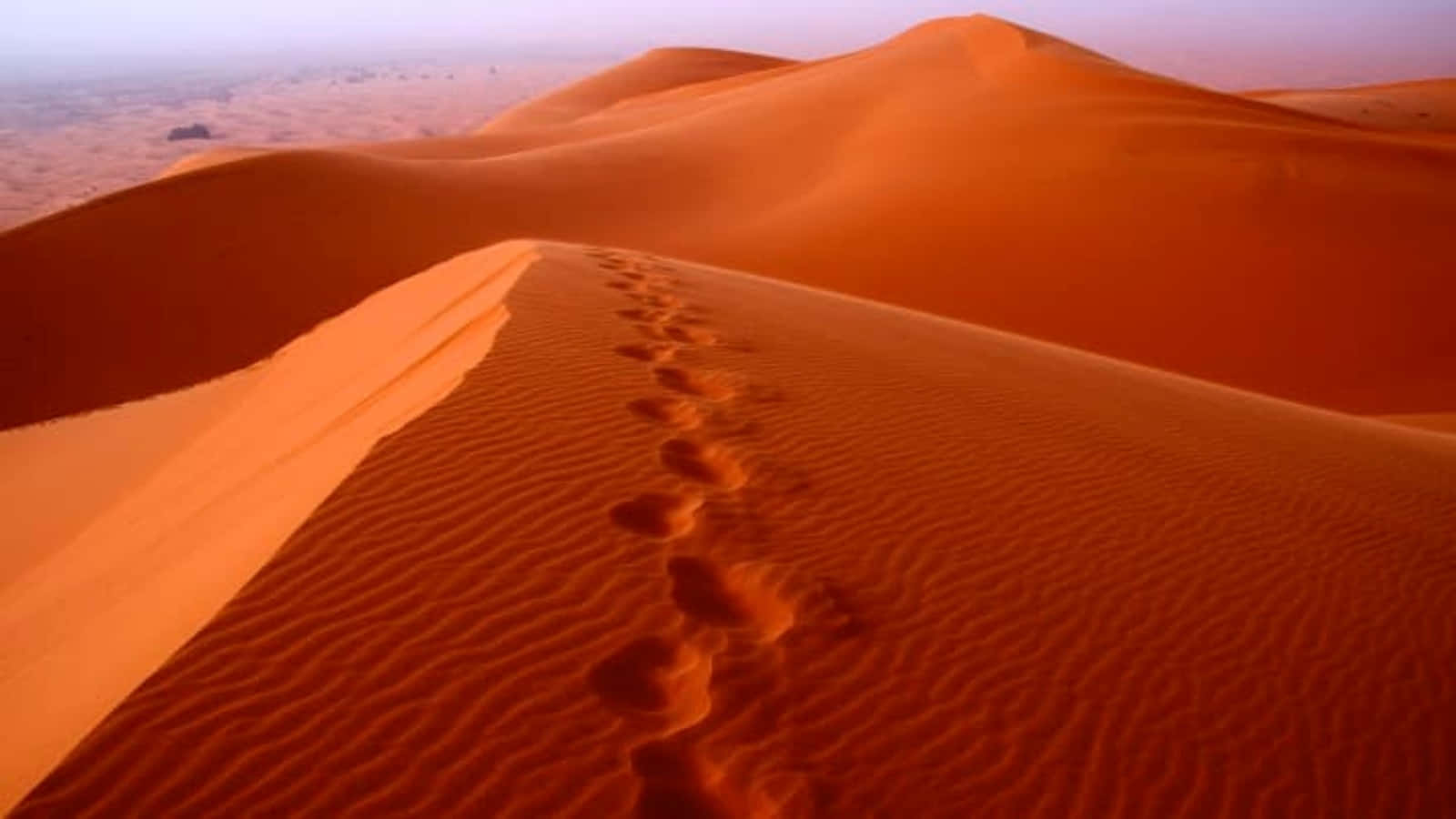 Fußabdrückeim Wüstensand Bild