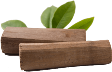Sandalwood Logswith Green Leaves PNG