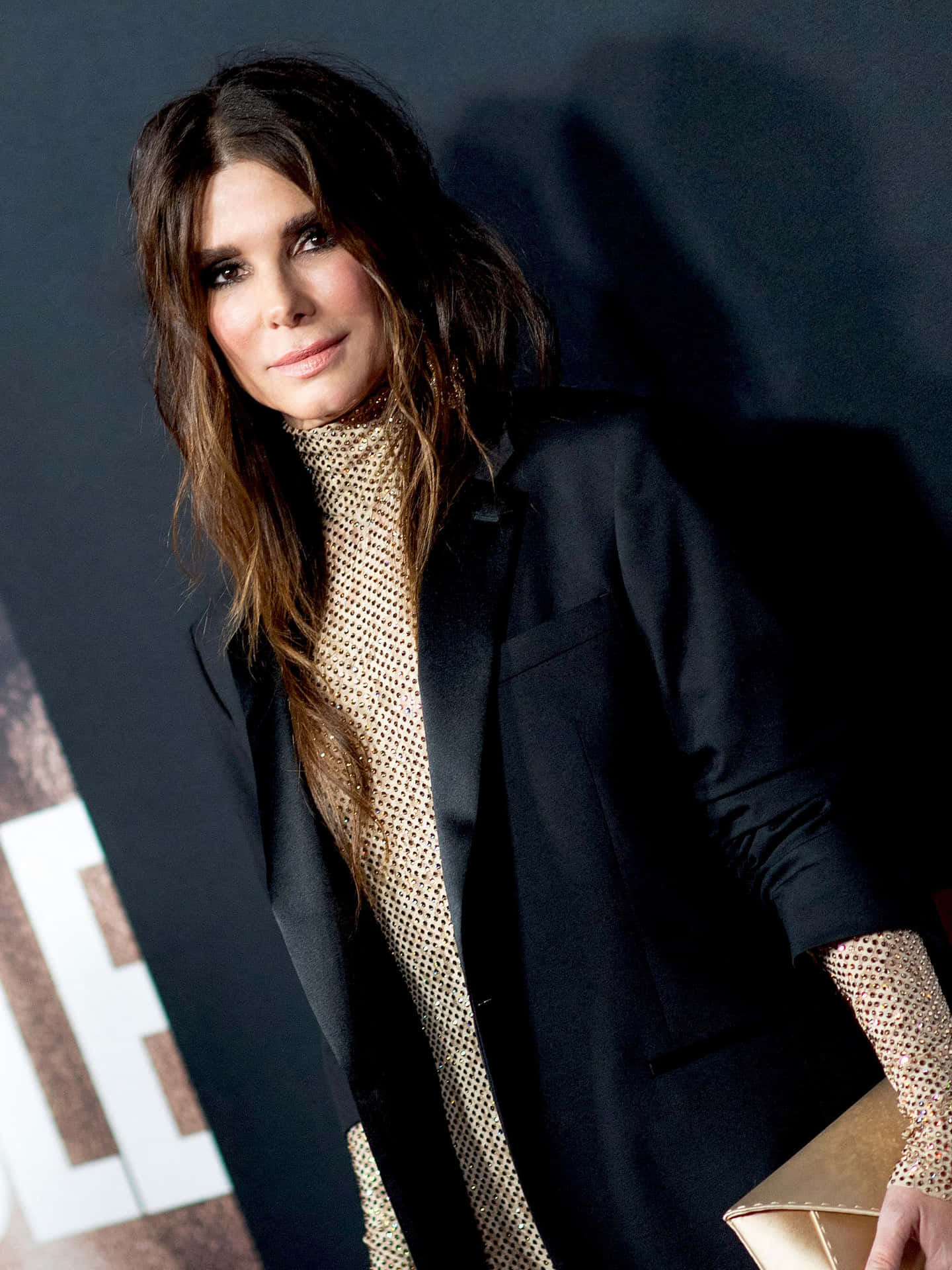 Sandra Bullock - Beautiful, Talented and Here to Stay