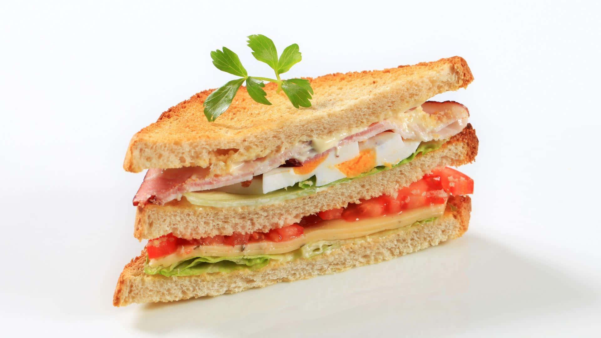A Sandwich With Tomatoes And Lettuce