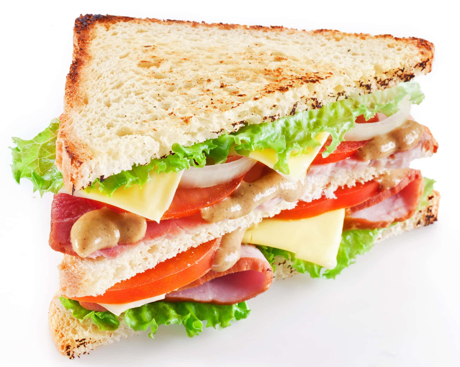 Delicious Sandwich Feast=