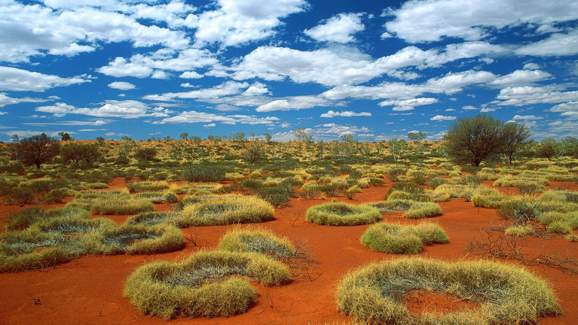Sandy Australian Outback Wallpaper