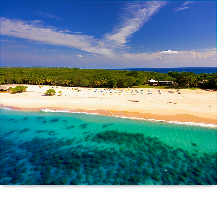 Sandy Beach Aerial View Png 43 PNG