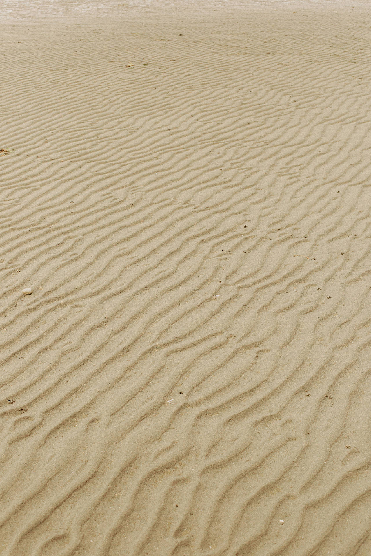 Sandy Beach Iphone