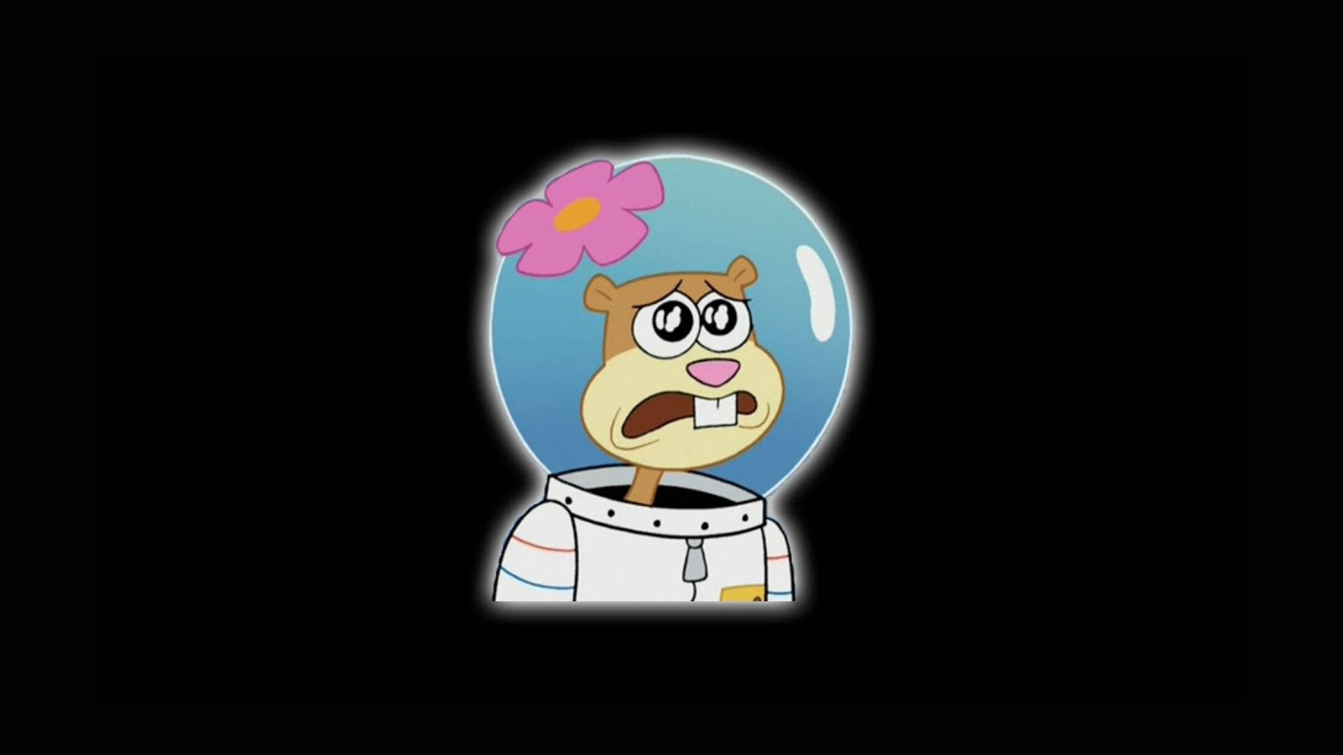 Top 999+ Sandy Cheeks Wallpapers Full HD, 4K✅Free to Use