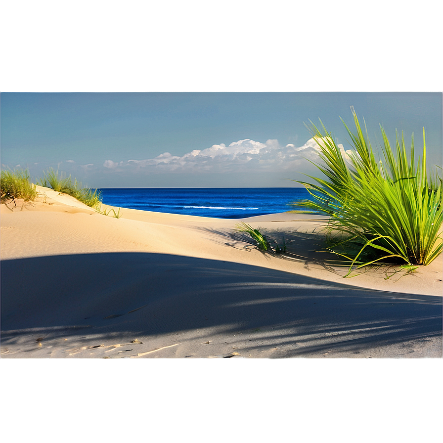 Sandy Coastal Dunes Landscape Png Clv PNG