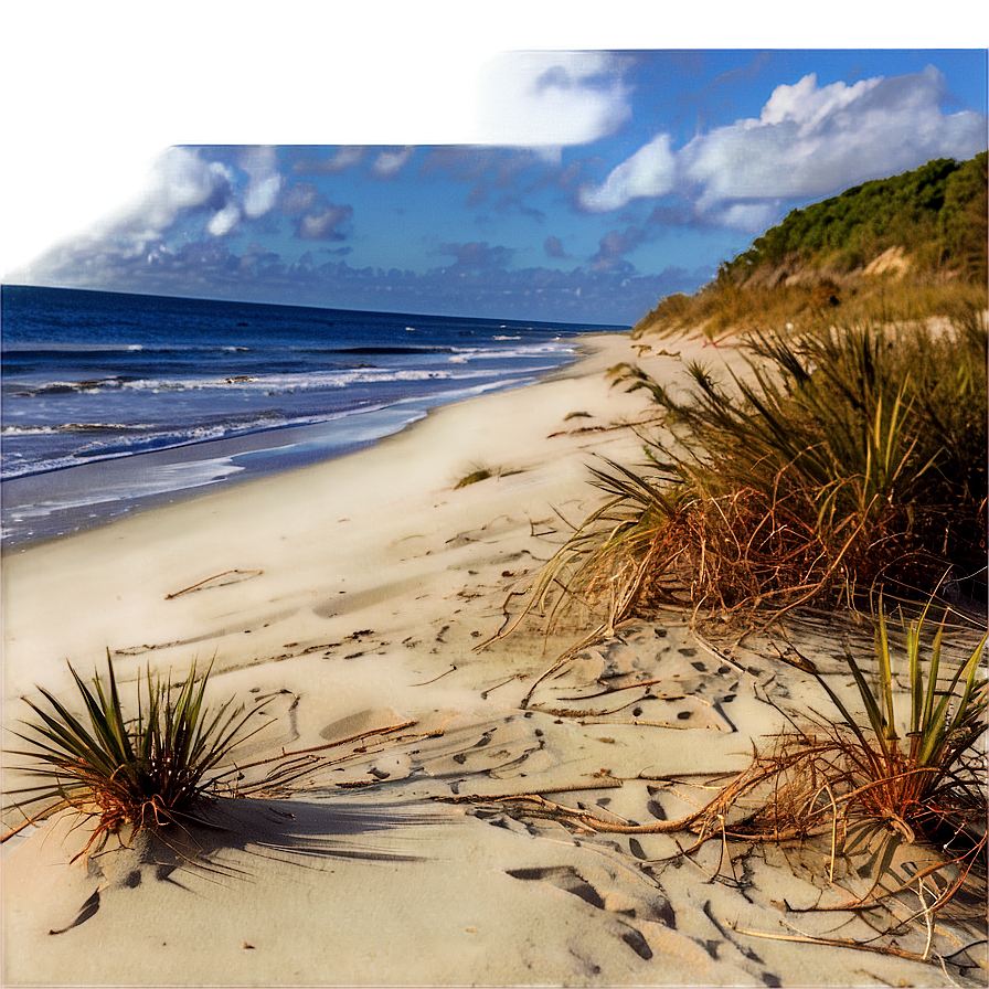 Sandy Coastal Dunes Landscape Png Dsl PNG