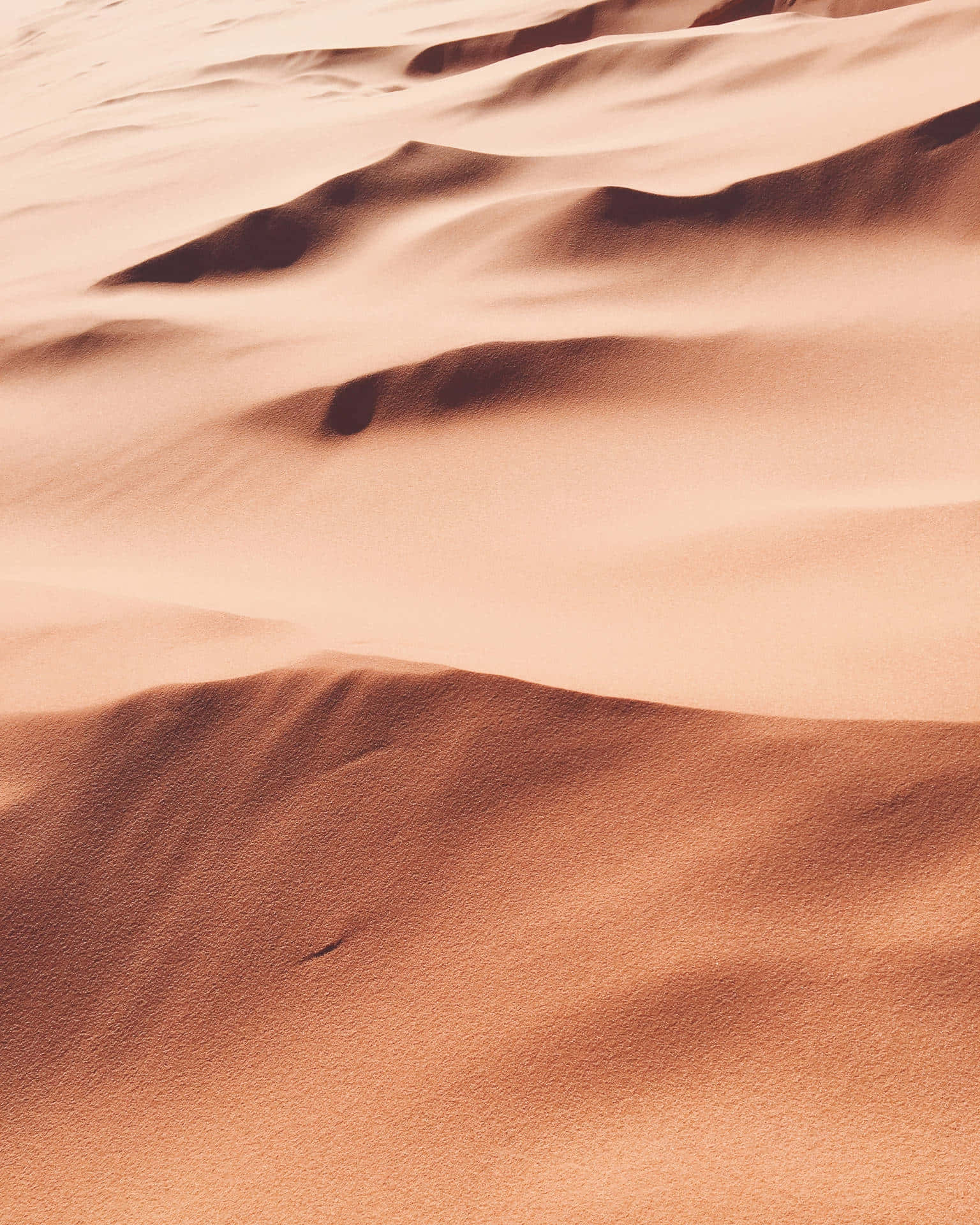 Sandy_ Desert_ Dunes_ Aesthetic.jpg Wallpaper