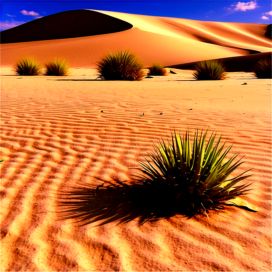 Sandy Desert Oasis Png 06242024 PNG