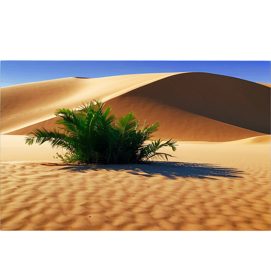 Sandy Desert Oasis Png Vdo13 PNG