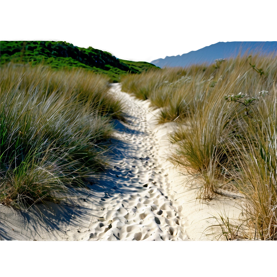 Sandy Path Through Dunes Png Pkg PNG