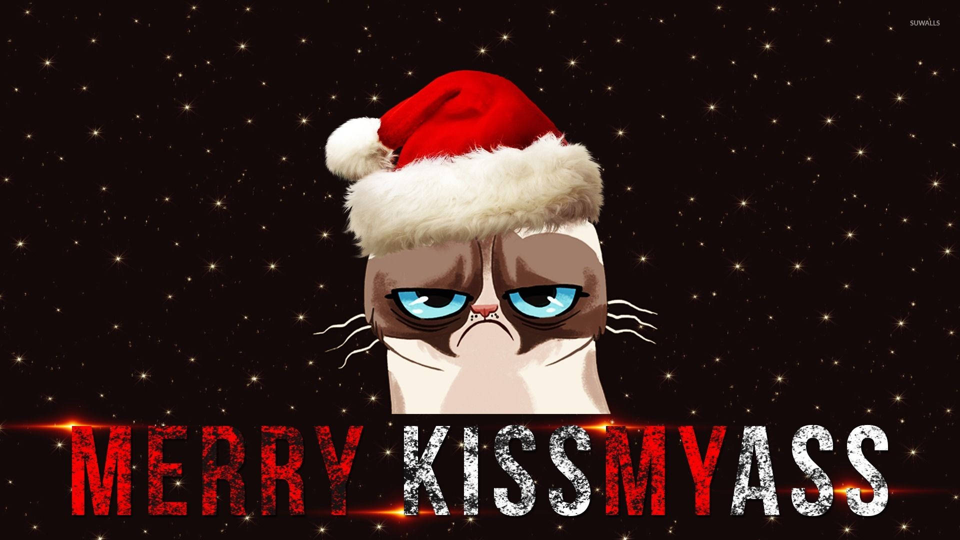 Santa cat meme wallpaper