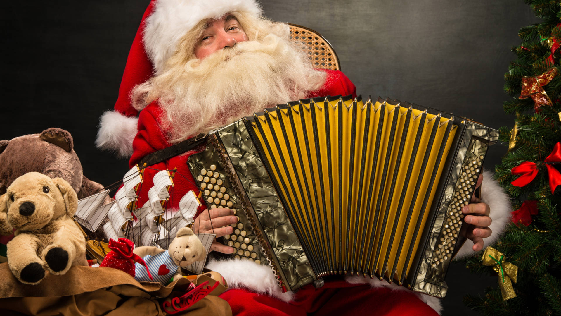 Santa Claus Playing Accordion
