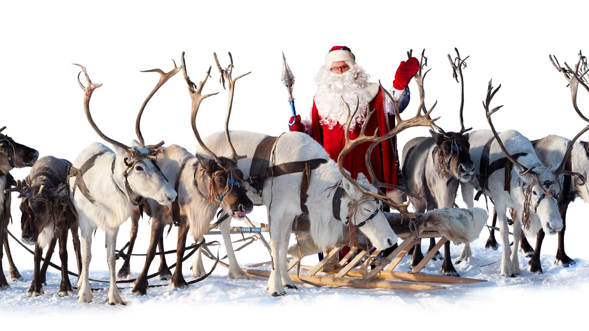 Santa Claus With Reindeers Wallpaper