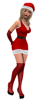 Santa Costume3 D Model PNG