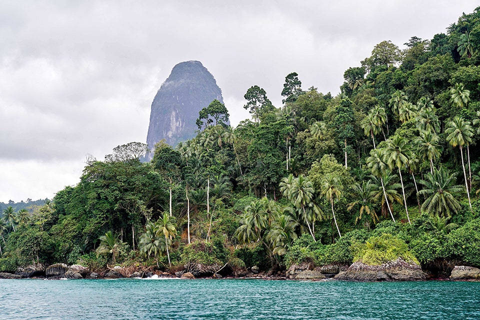 Esclusivaforesta Di Palme A São Tomé E Príncipe. Sfondo