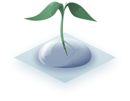 Sapling Growing From Drop Illustration PNG