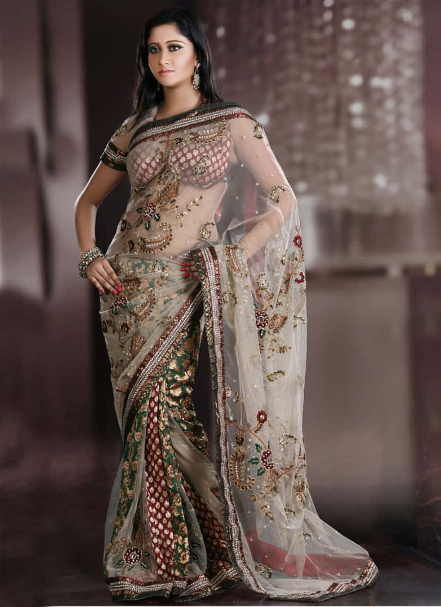 A Beautiful Woman In A Sari