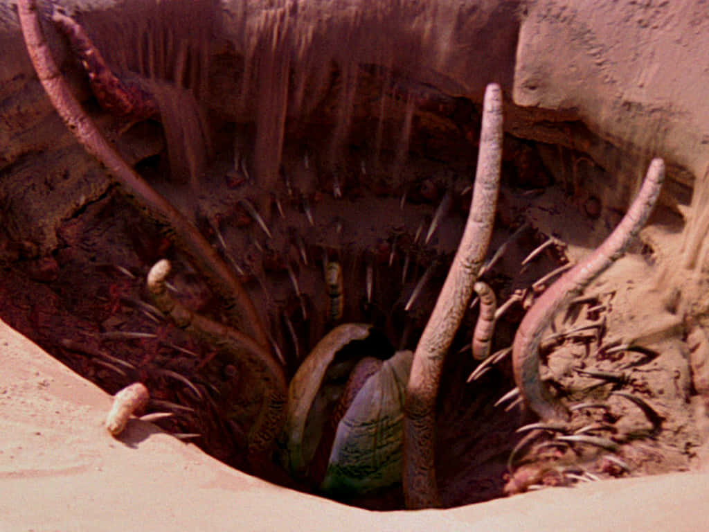 A Sarlacc Pit On Tatooine Wallpaper