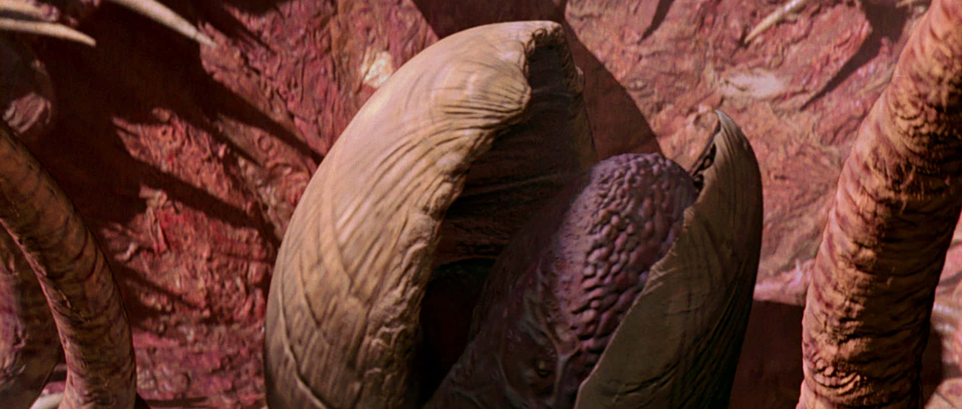 Een Sarlacc Feast In De Tatooine Woestijn Achtergrond