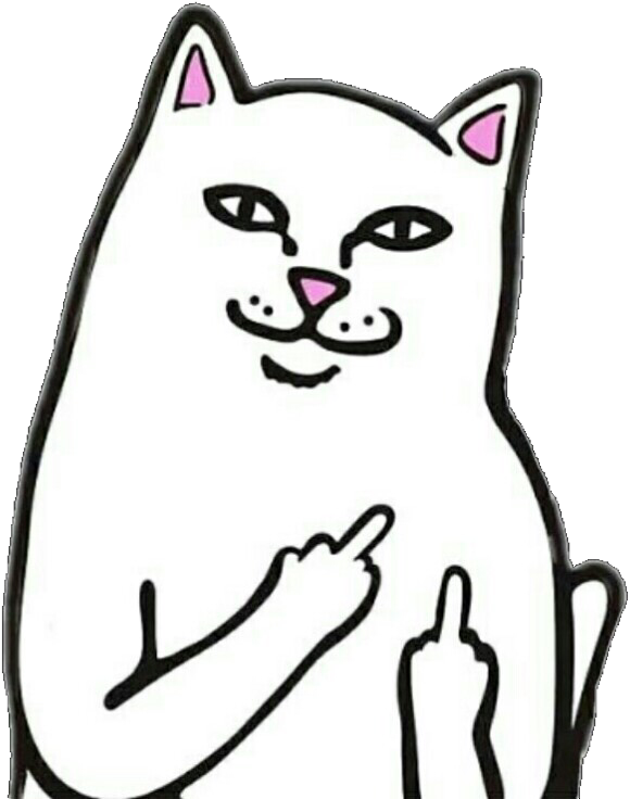 Sassy Cat Meme Gesture PNG
