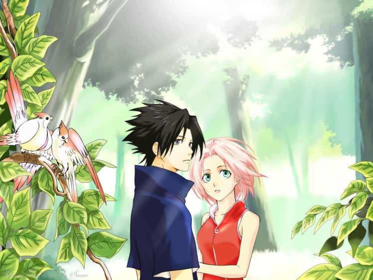 Sasuke og Sakura, to længevarende venner bestemt til storhed Wallpaper