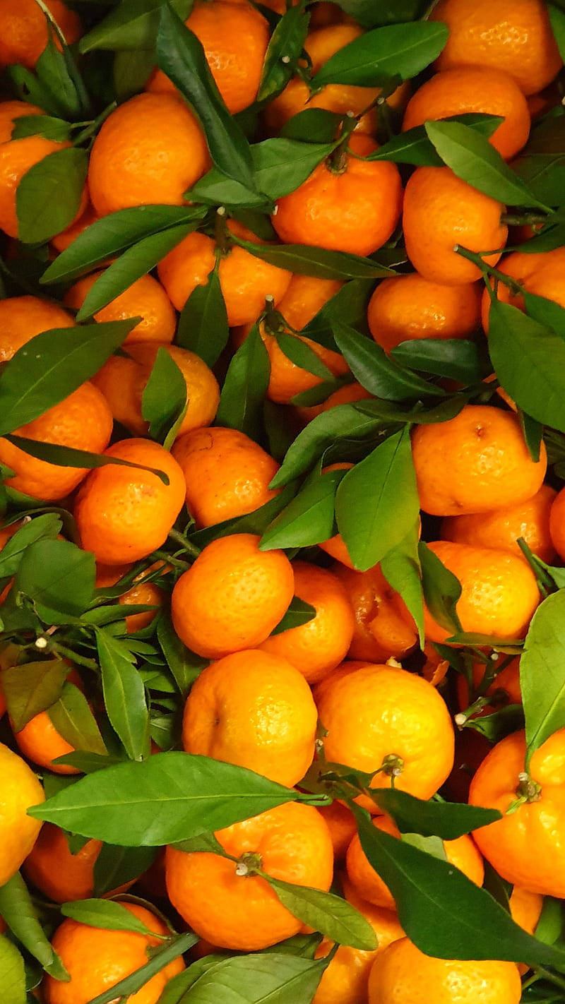 Satsuma Mandarin Sweet Orange Fruit Wallpaper