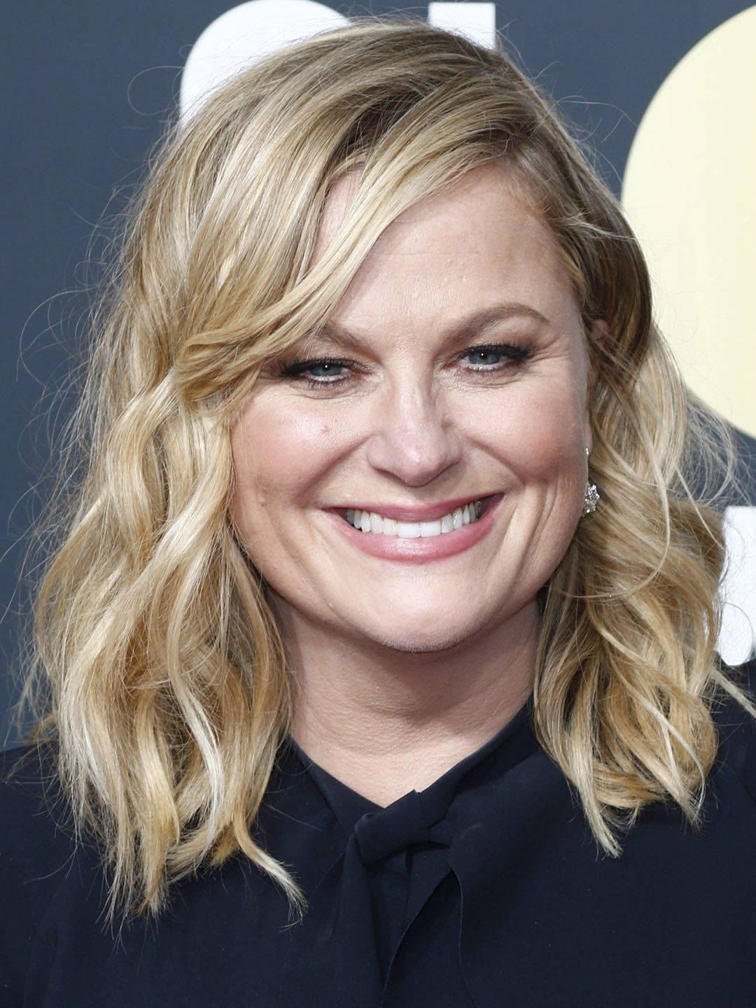 Saturdaynight Live Amy Poehler Would Be Translated As 