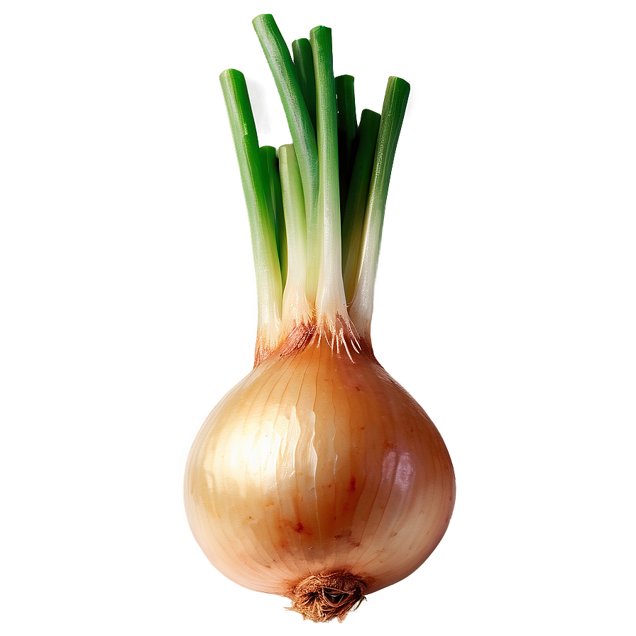Sautéed Onion Png Rsi95 PNG