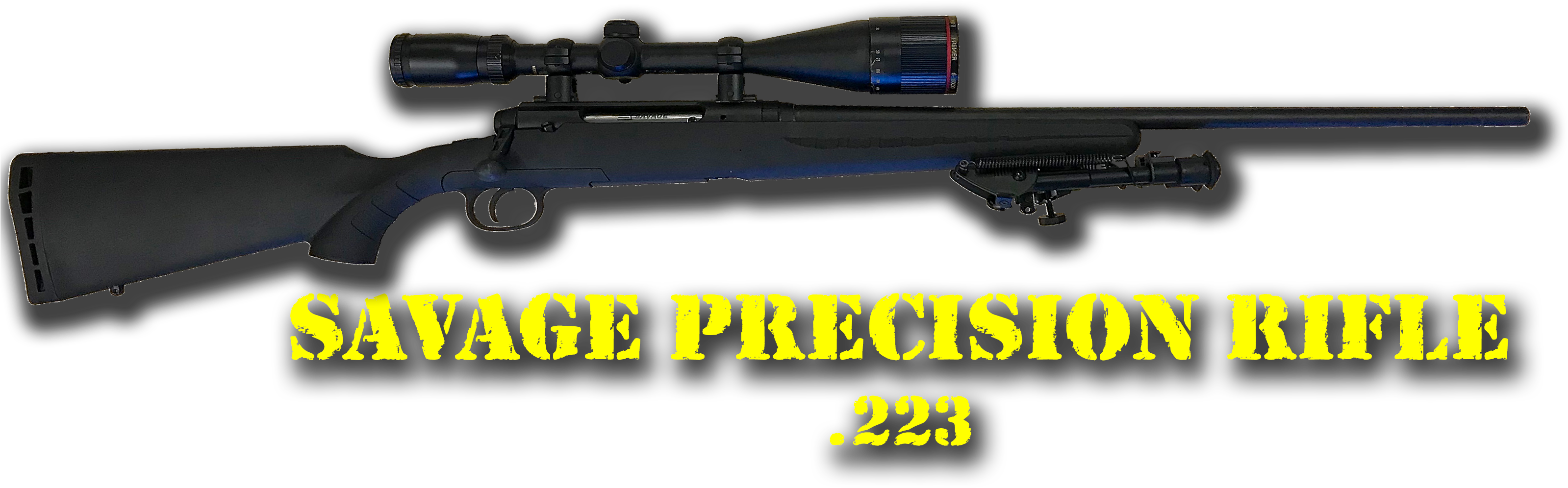 Savage Precision Rifle223 PNG