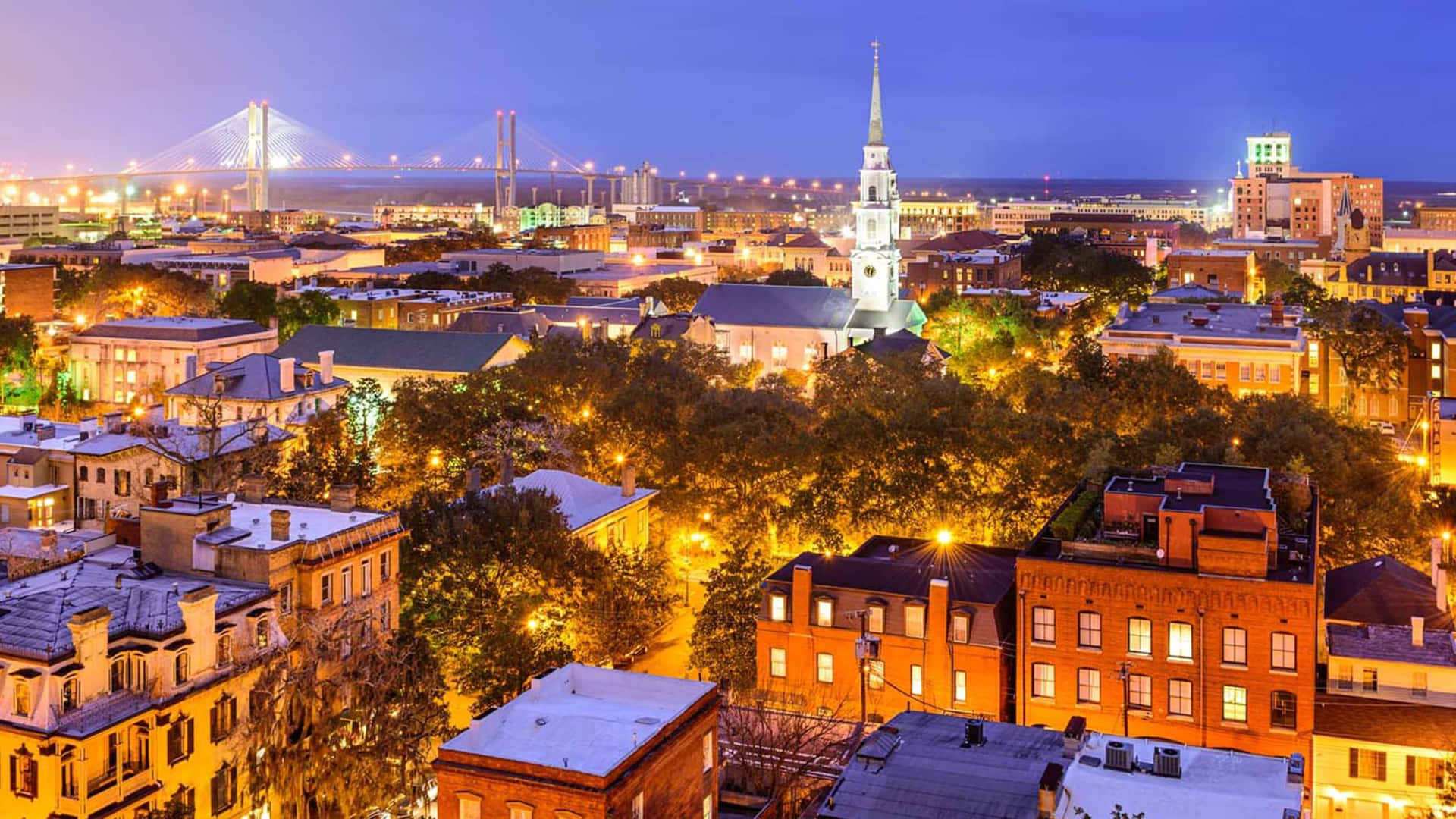 Breathtaking View of the Savannah