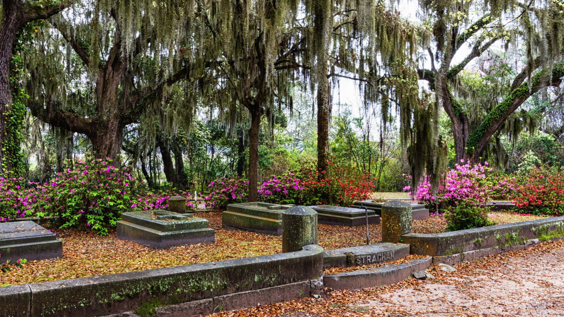 A Cemetery With A Lot Of Flowers And Trees