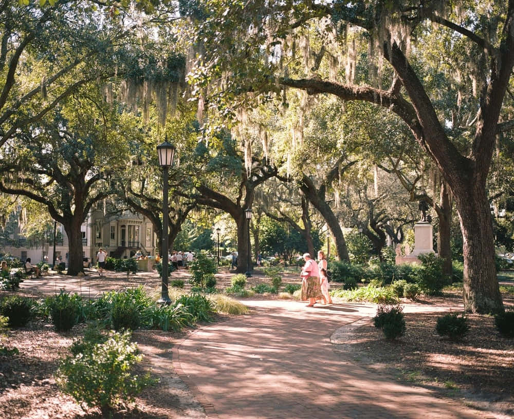 A view of Savannah, the perfect Southern city for laidback vibes