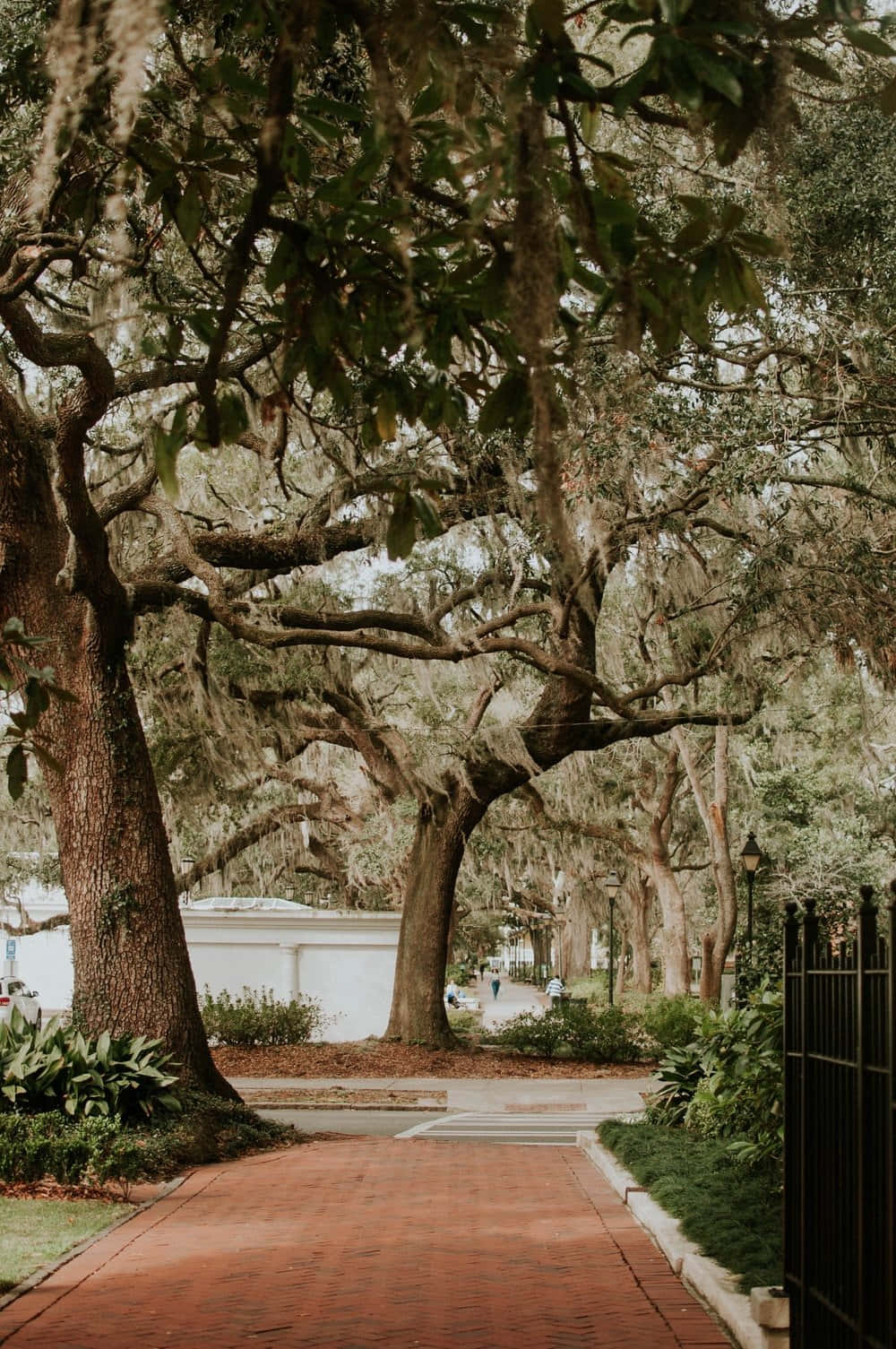 Strolling through Savannah's Historic District