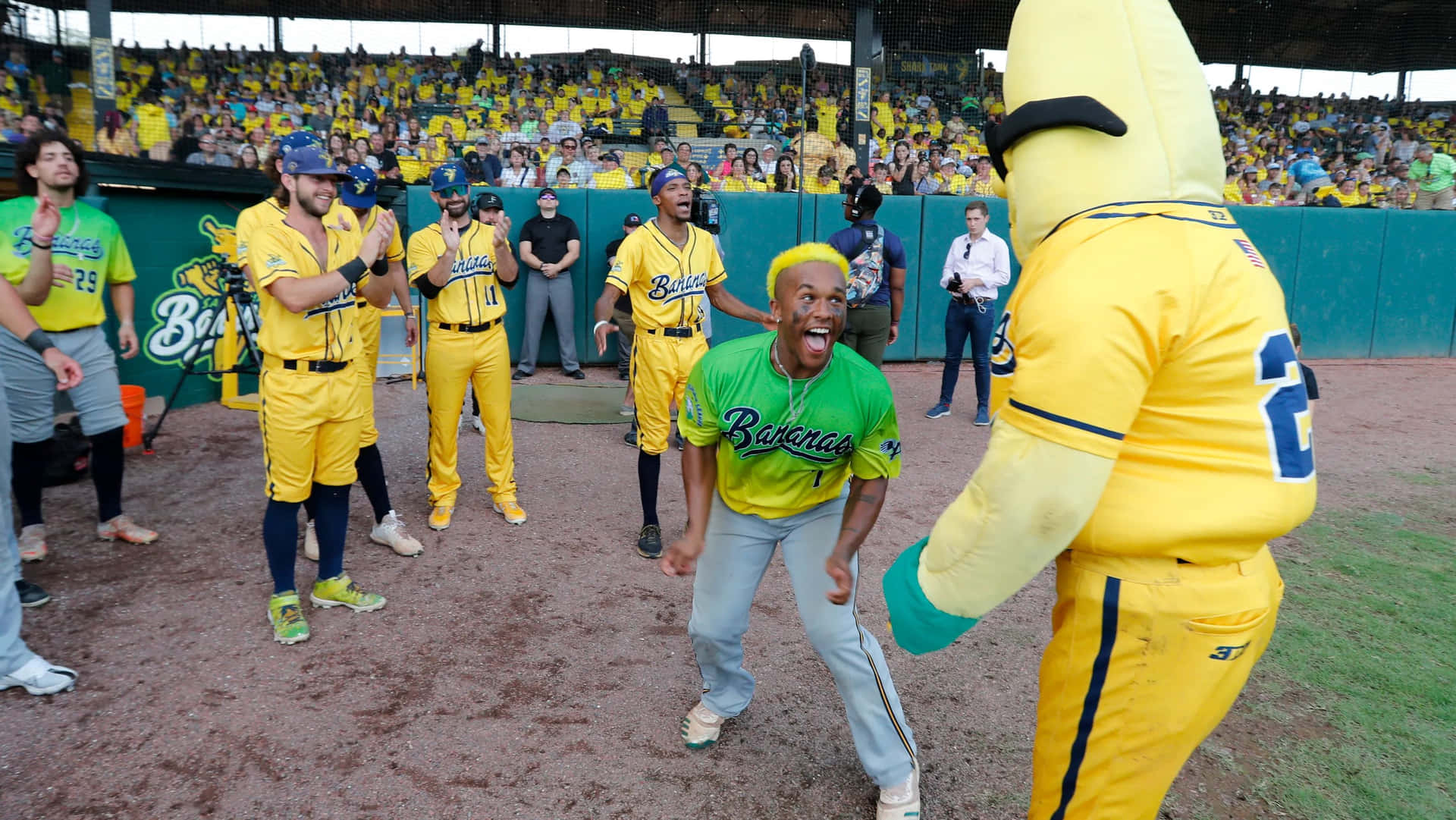 Savannah Bananas Celebration Dugout Wallpaper