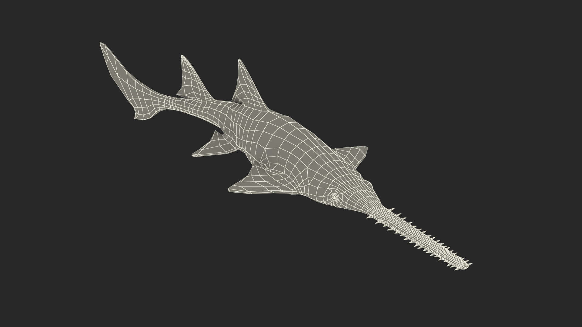Sawfish Wireframe Model Wallpaper