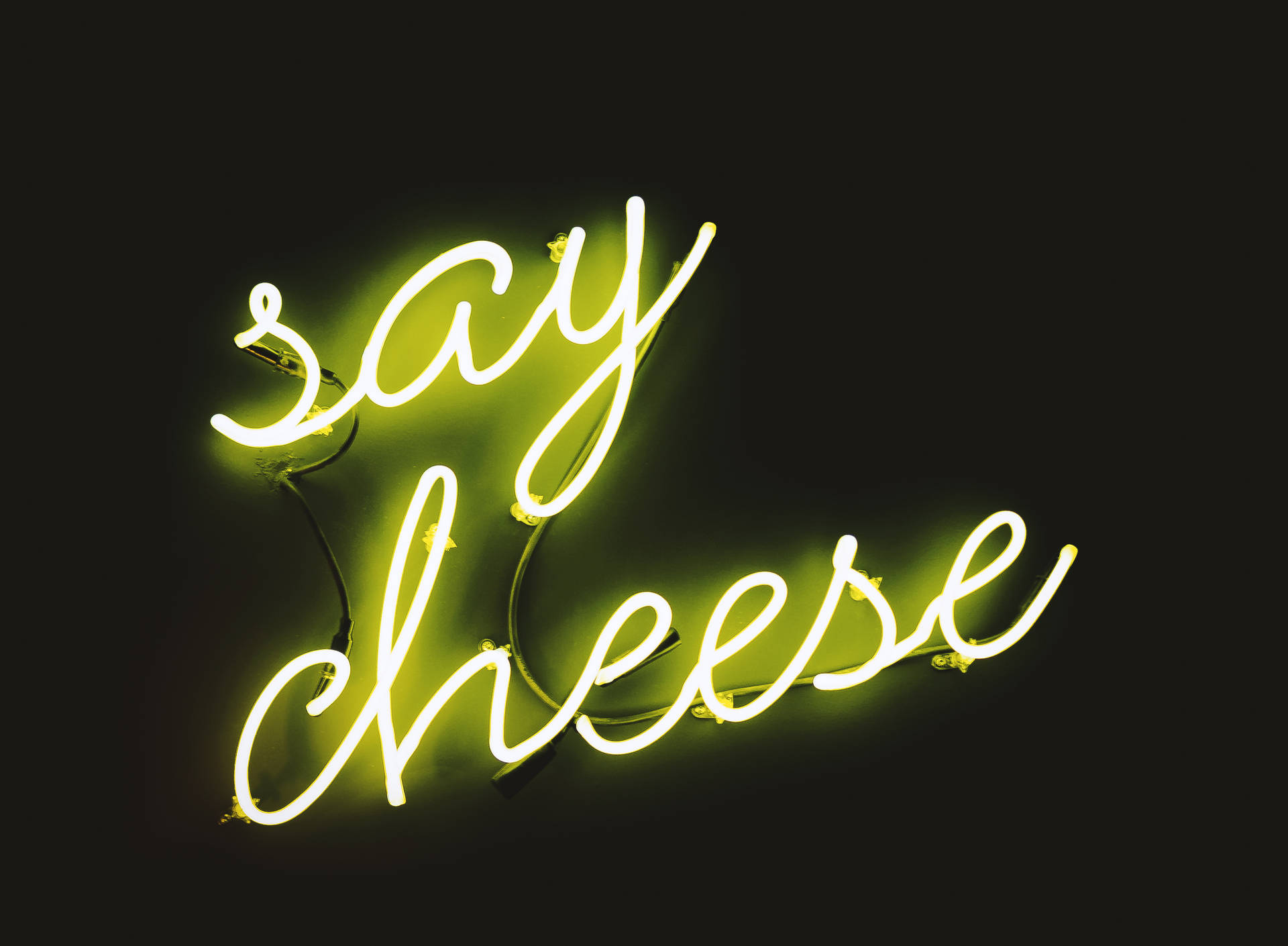 Say Cheese Neon Sign Wallpaper