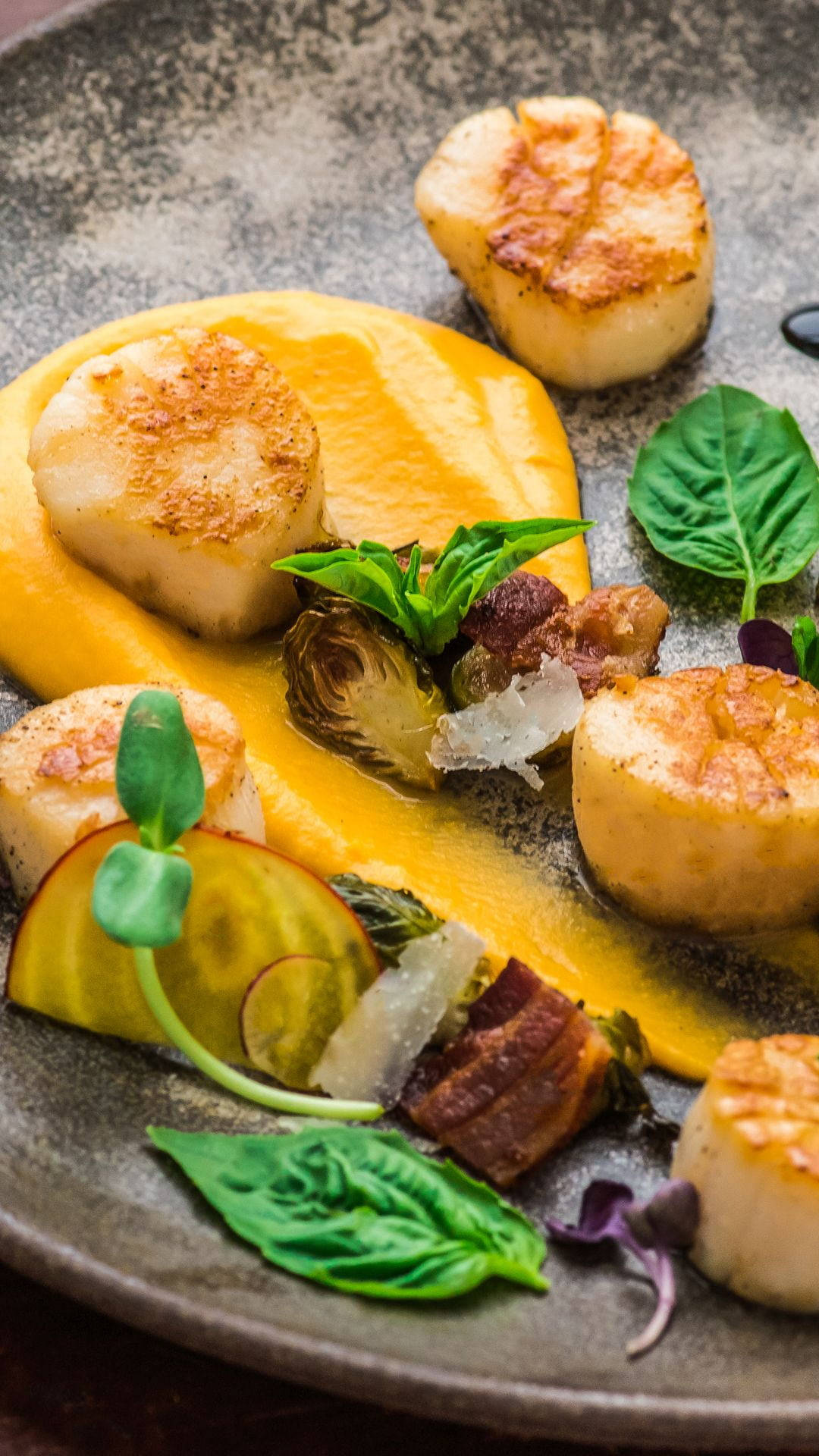 Scallops Dish With Herbs And Orange Sauce Wallpaper