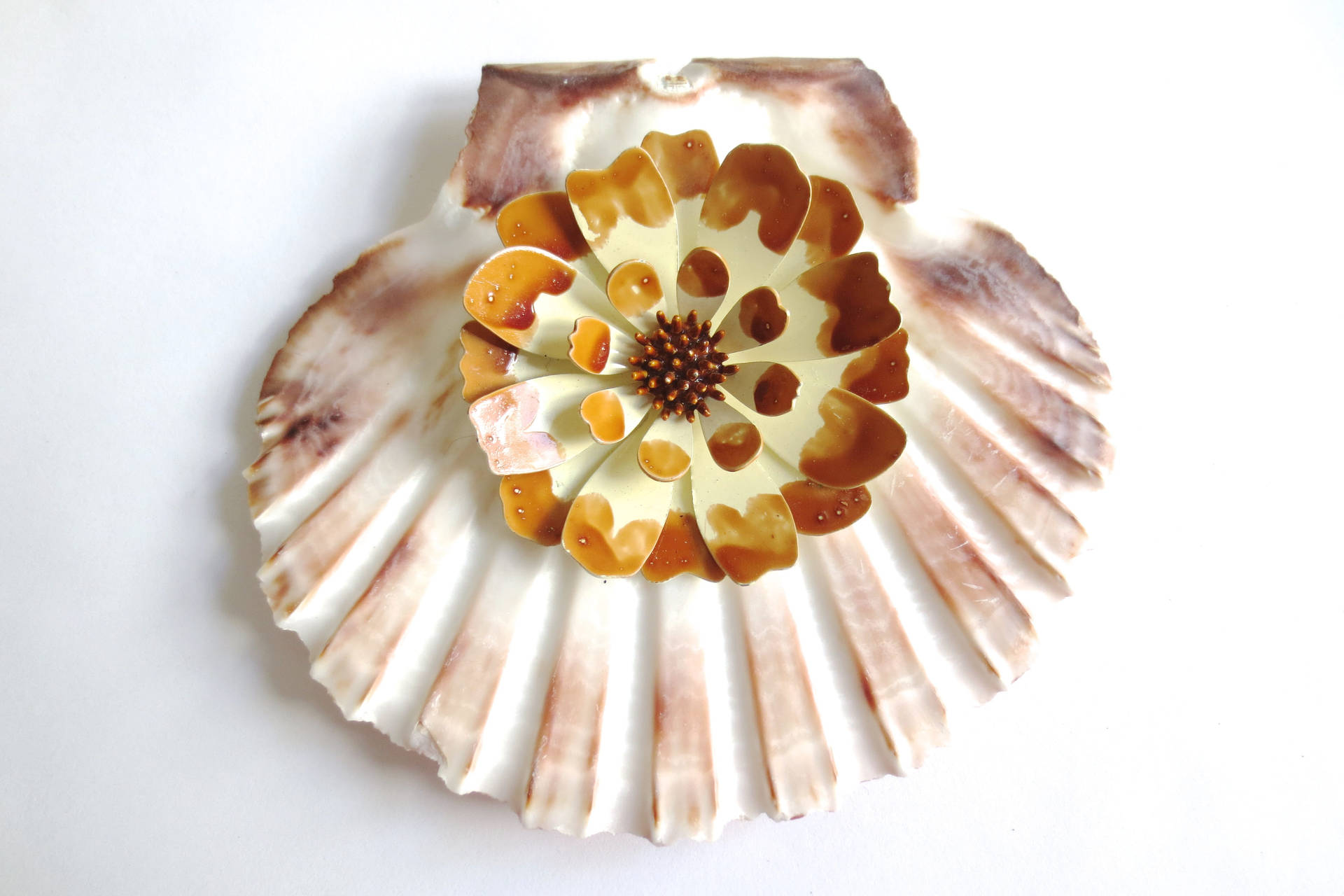 Scallops Shell With Flower Wallpaper
