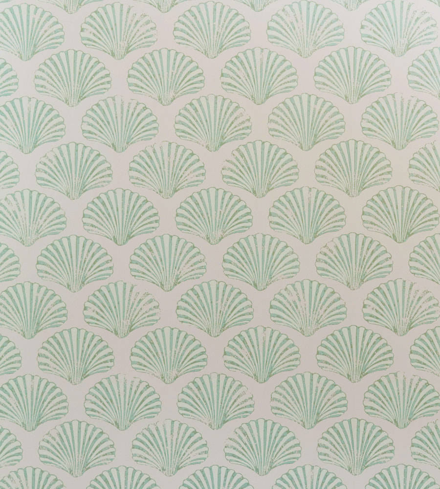 Scallops Shells Collage Green Aesthetic Wallpaper