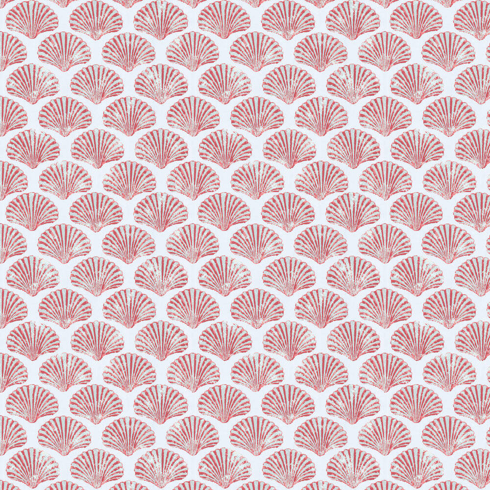 Scallopsskal Collage Rosa Och Vit Wallpaper