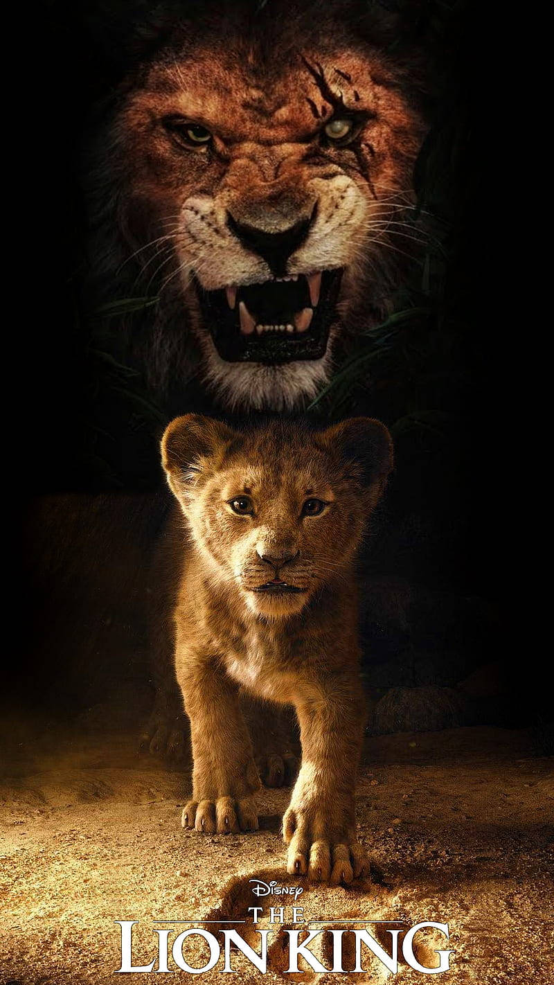 Scar and Simba The Lion King Wallpaper