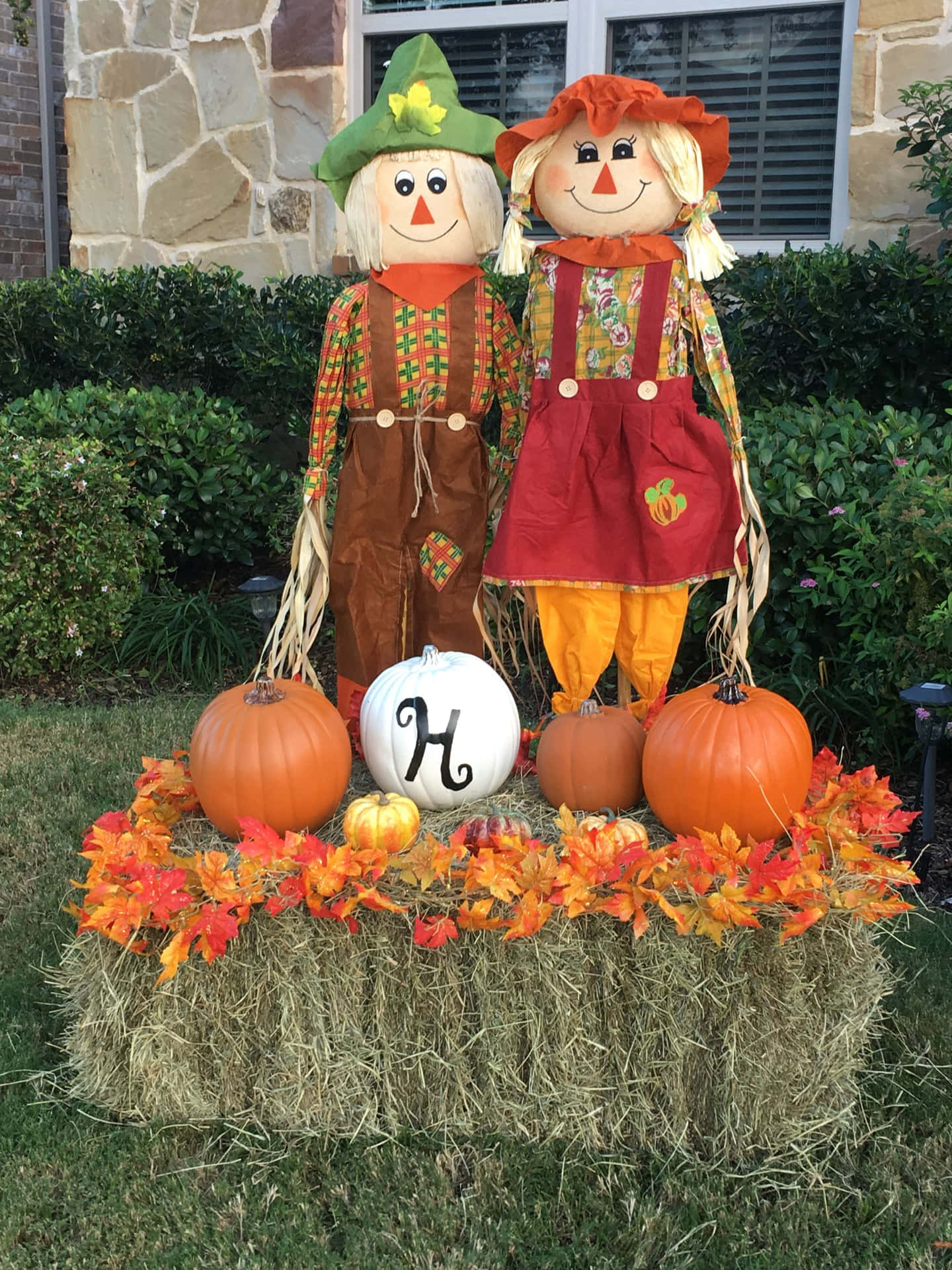 Two Cute Scarecrow Picture