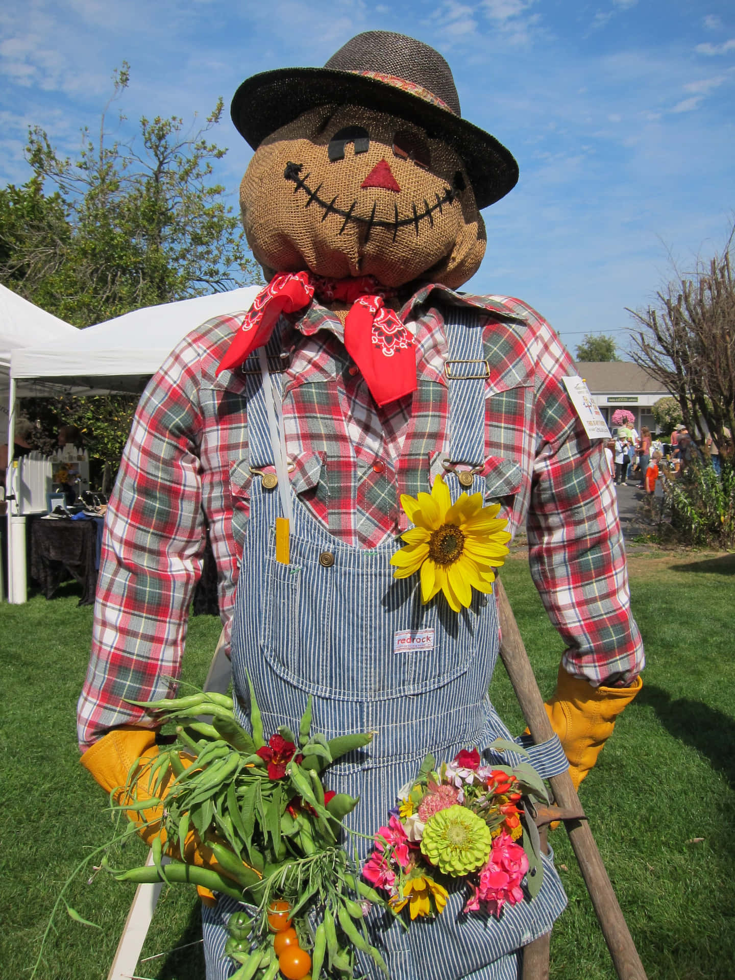 Garden Scarecrow Picture
