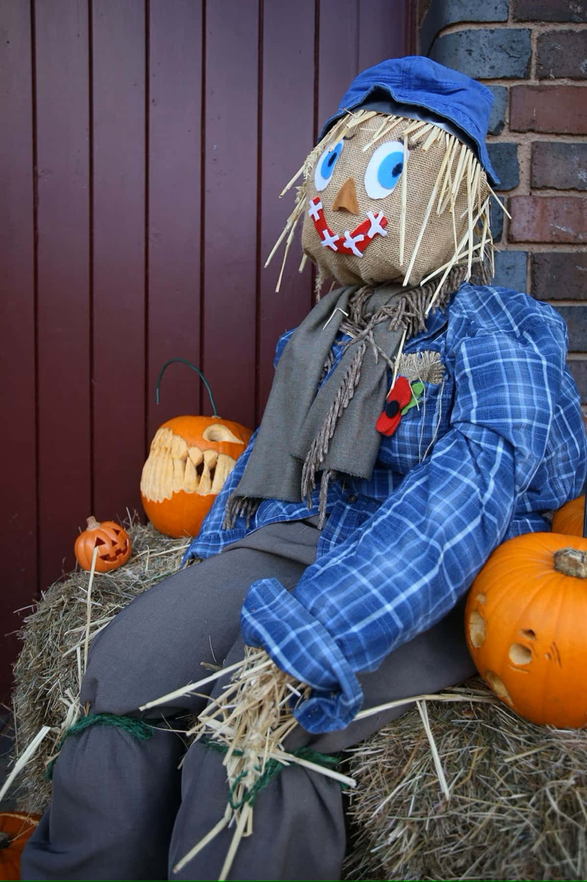 Scarecrow In The Barn Picture