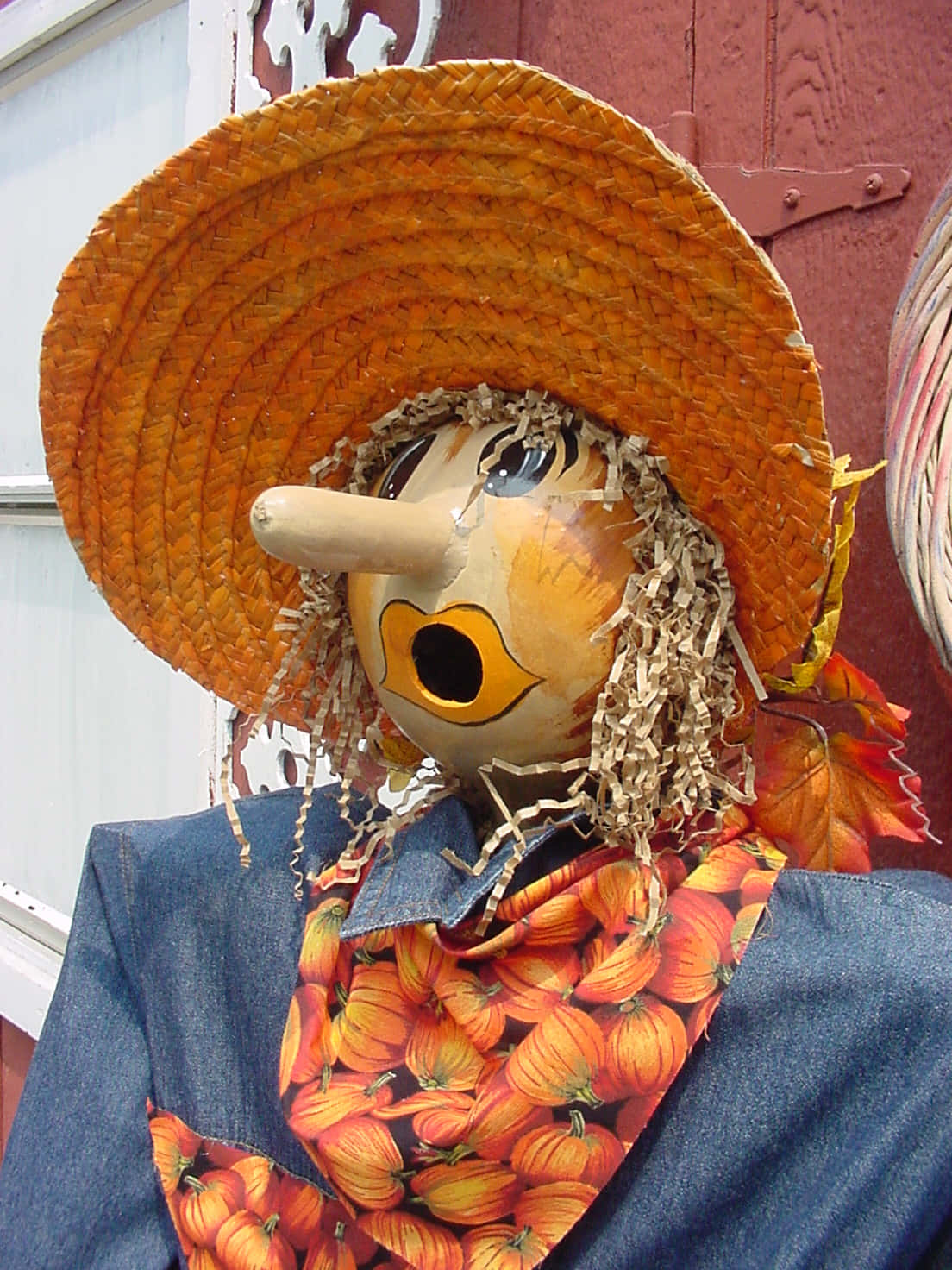 Long-Nosed Scarecrow Picture