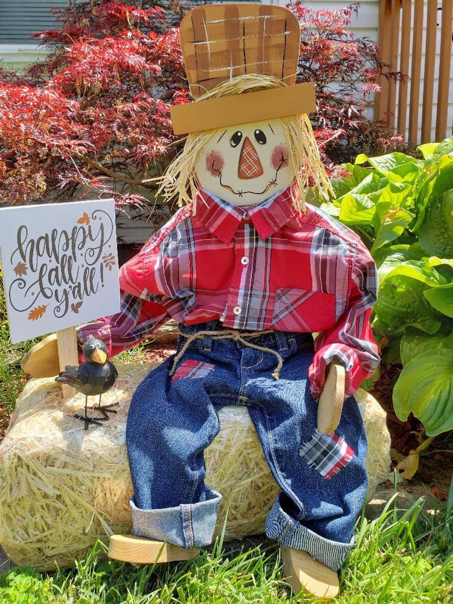 Scarecrow Sitting Picture