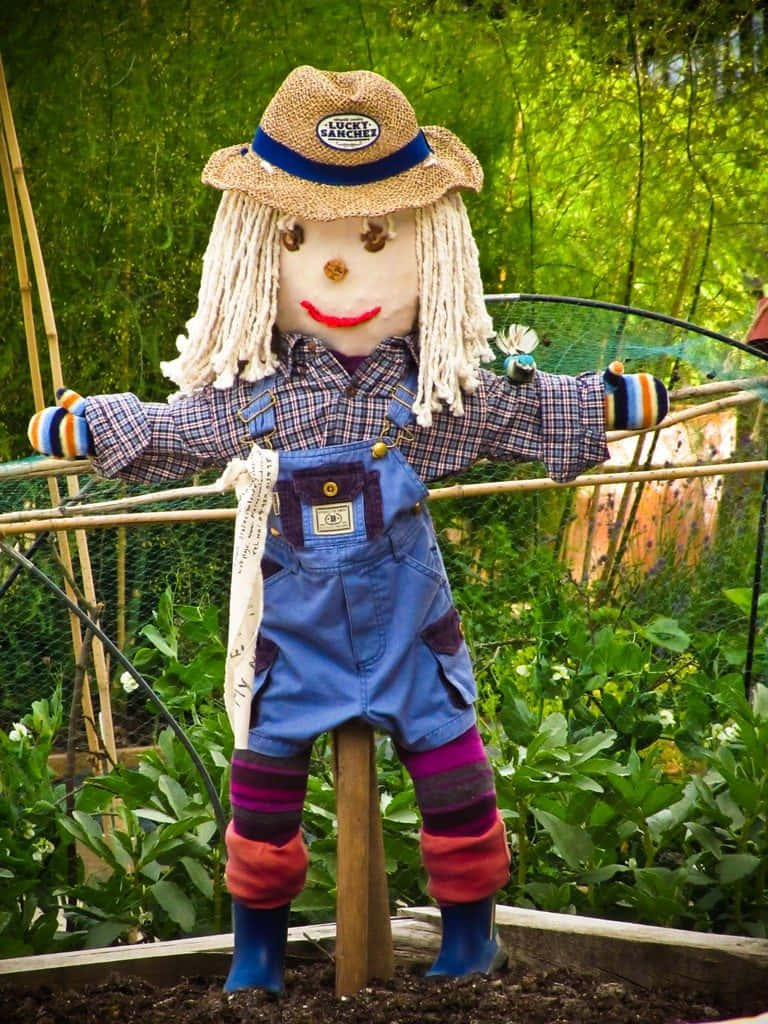 Scarecrow In The Nursery Garden Picture